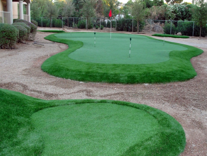 Synthetic Turf Ruskin, Florida Putting Green Carpet, Backyard Makeover