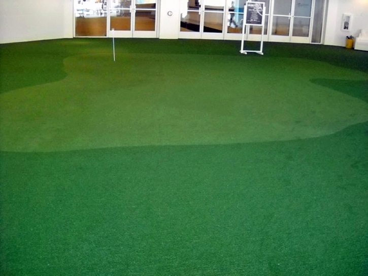 Synthetic Turf Supplier Dover, Florida Diy Putting Green, Commercial Landscape