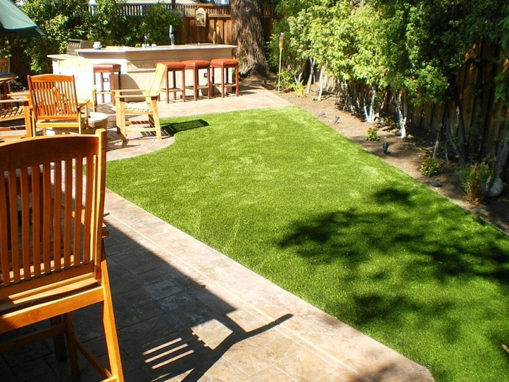 Synthetic Turf Supplier Masaryktown, Florida Dog Parks, Backyard