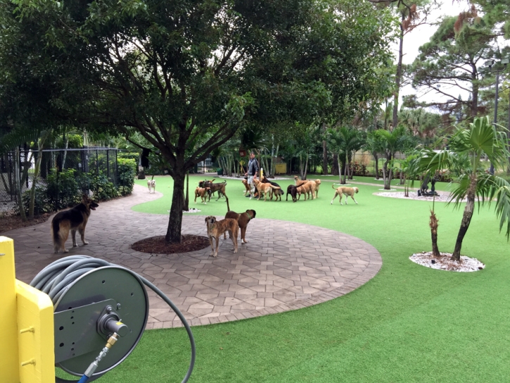 Synthetic Turf Supplier Nokomis, Florida Landscape Photos, Commercial Landscape