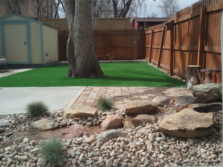 Synthetic Turf Supplier Pine Hills, Florida Roof Top, Backyard Landscaping