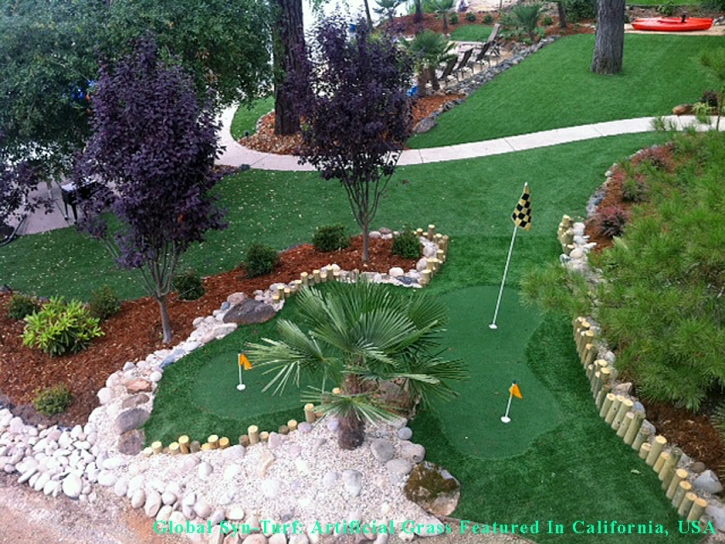 Synthetic Turf Tampa, Florida Rooftop, Small Backyard Ideas