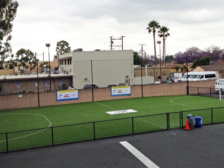 Synthetic Turf Tarpon Springs, Florida Red Turf, Commercial Landscape