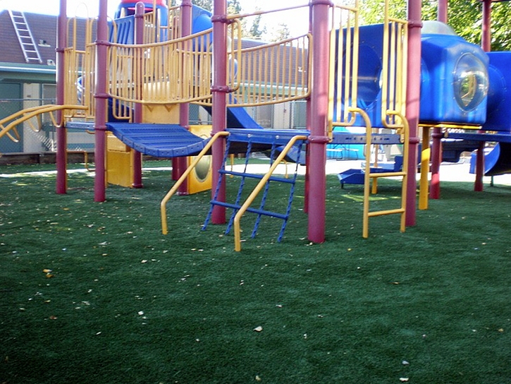 Turf Grass Brooksville, Florida Athletic Playground, Commercial Landscape