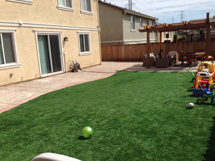 Turf Grass Casselberry, Florida Playground Safety, Beautiful Backyards