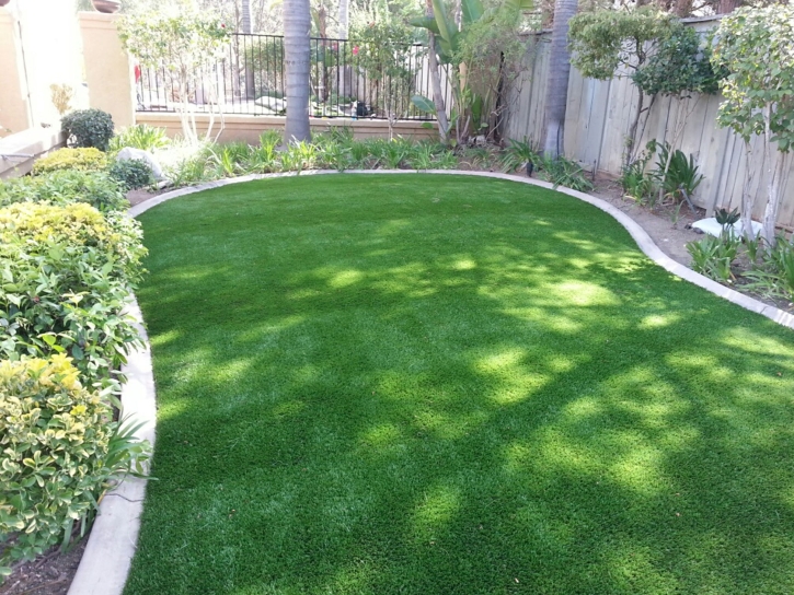 Turf Grass Dunnellon, Florida Lawn And Landscape