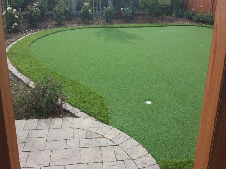 Turf Grass Ruskin, Florida Landscaping Business, Backyard Landscape Ideas