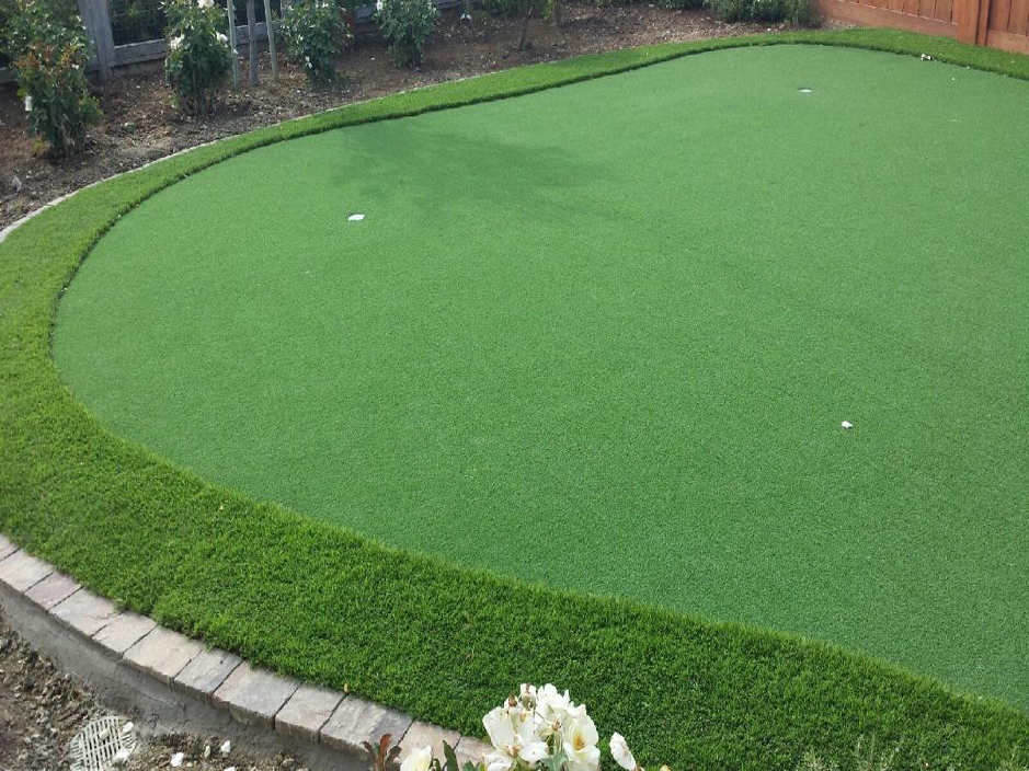 Outdoor Carpet Laurel Florida Lawns Beautiful Backyards